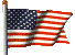 waving usa flag